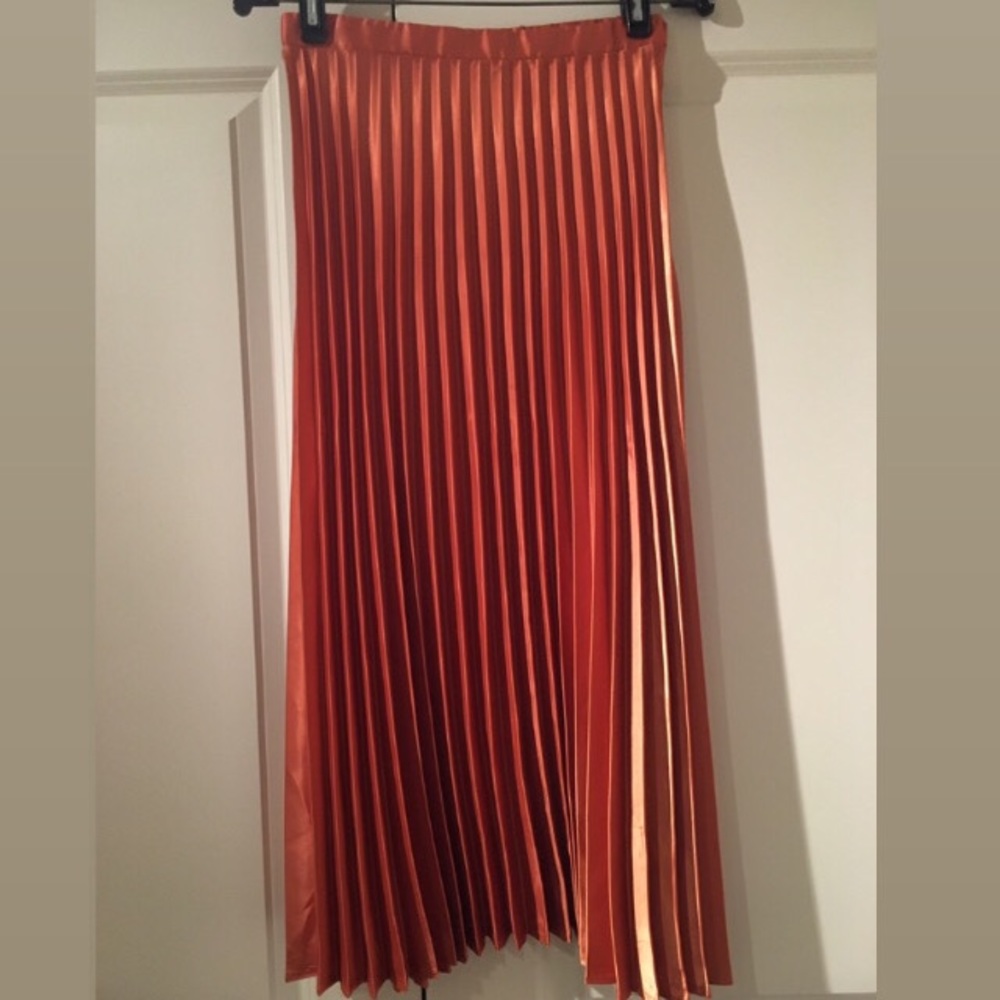 Pleated Skirt